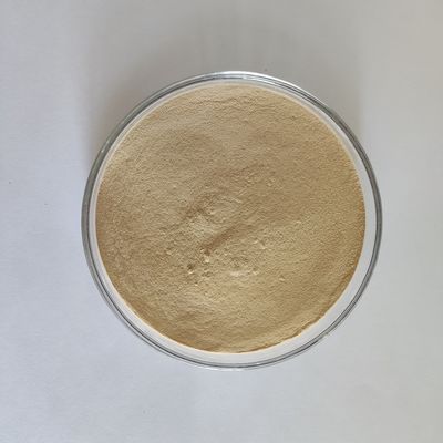 Habio Protease BP100 100,000U/g Порошок/гранулы Целая кишечная пищевая протеаза