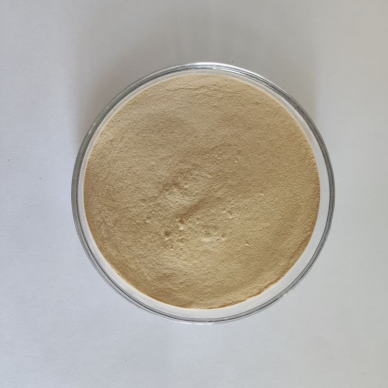 Habio Protease BP100 100,000U/g Порошок/гранулы Целая кишечная пищевая протеаза