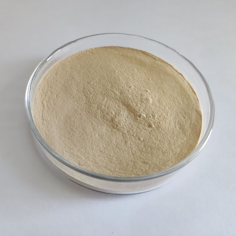 Habio Protease BP100 100,000U/g Порошок/гранулы Целая кишечная пищевая протеаза