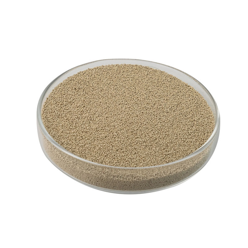 Habio Protease BP100 100,000U/g Порошок/гранулы Целая кишечная пищевая протеаза