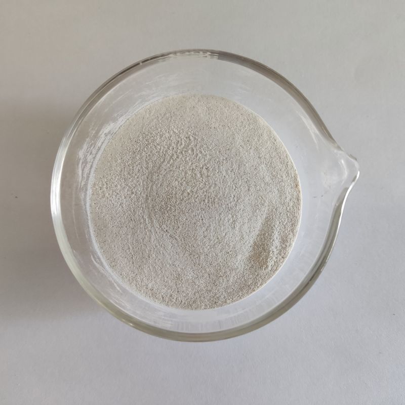Habio Alpha Galactosidase 50 000 ед/г Порошок Водорастворимые пищевые добавки