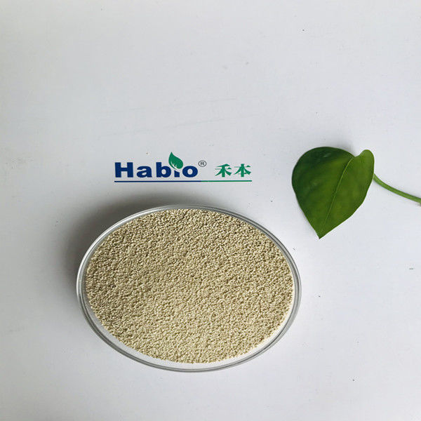 Добавка питания энзима Habio Lipozyme для условия шкуры